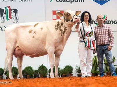 Mostra Nazionale di Cremona&nbsp;2016