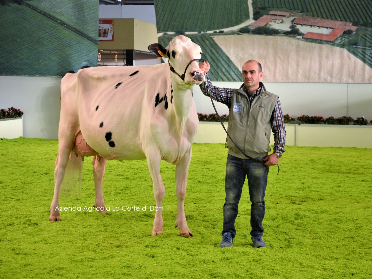 Dairy Show Montichiari&nbsp;2017