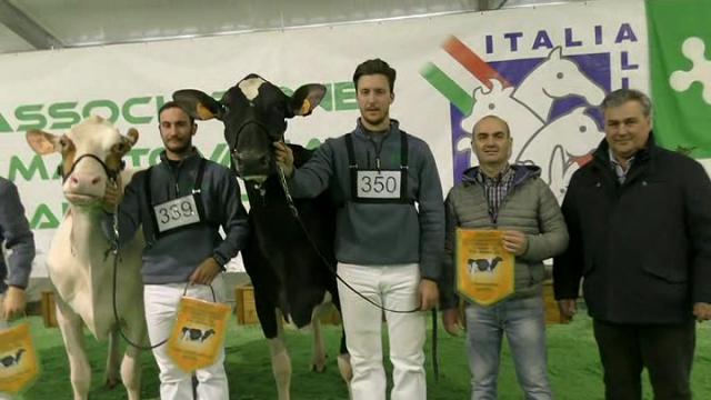 premiazione