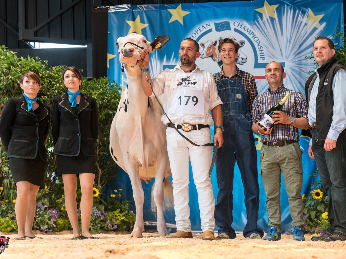 Confrontation Européenne Colmar&nbsp;2016