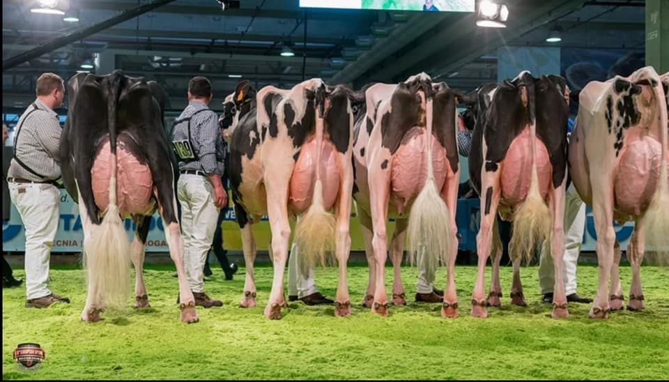 2D3F5ECD-28E6-41A4-9302-D4BA6B1F4D18