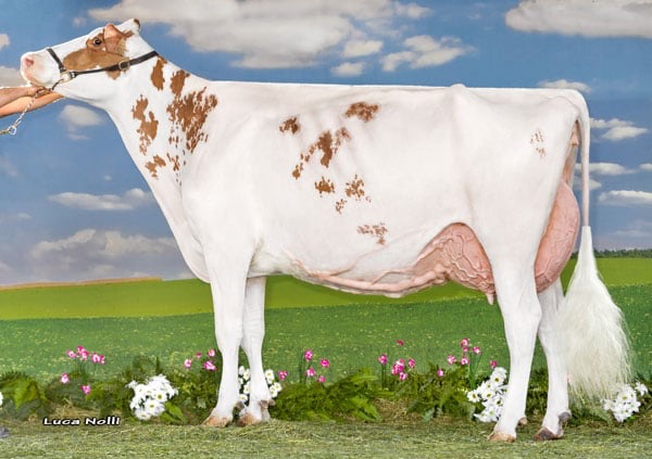 B3BCAA63-8298-4DE2-B17C-FDE49B6DA1E7