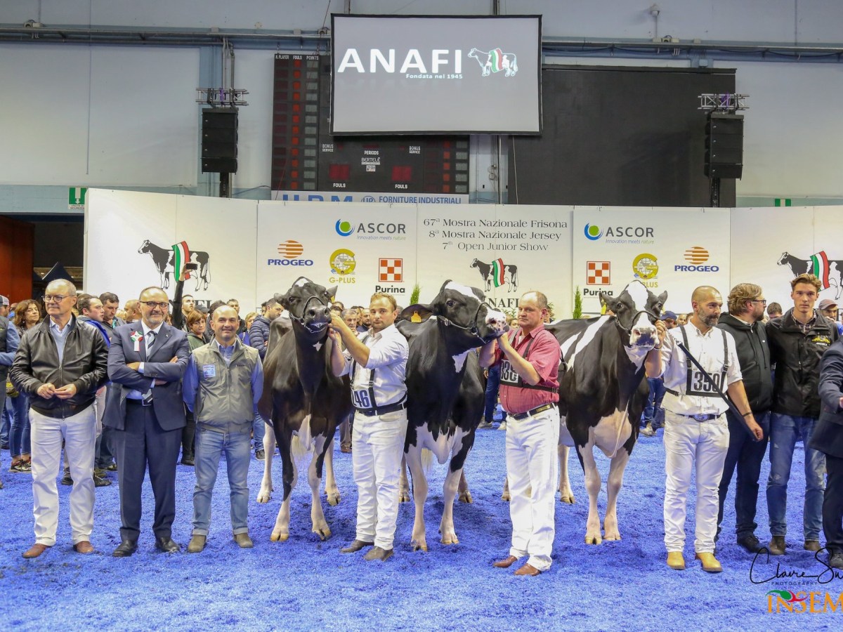 67^ Mostra Nazionale Razza Frisona Cremona&nbsp;2018