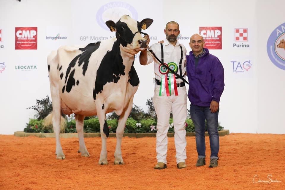 69^ Mostra Nazionale del bovino da latte Frisona e Jersey Italiana 2021