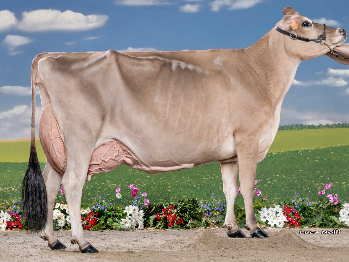 Dotti Victorious Sophia&nbsp;Et